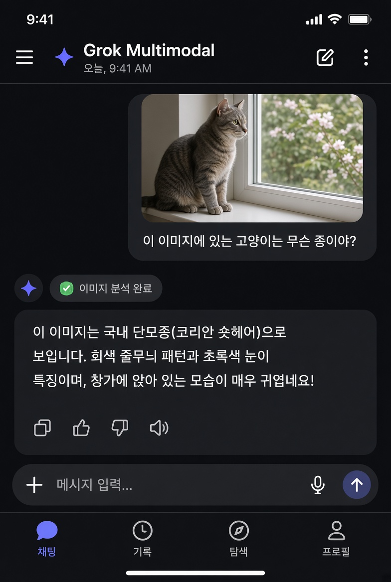 이미지 분석 질문에 대해 멀티 모달 AI가 답변을 출력하는 사용자 화면